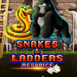Snakes and Ladders Megadice